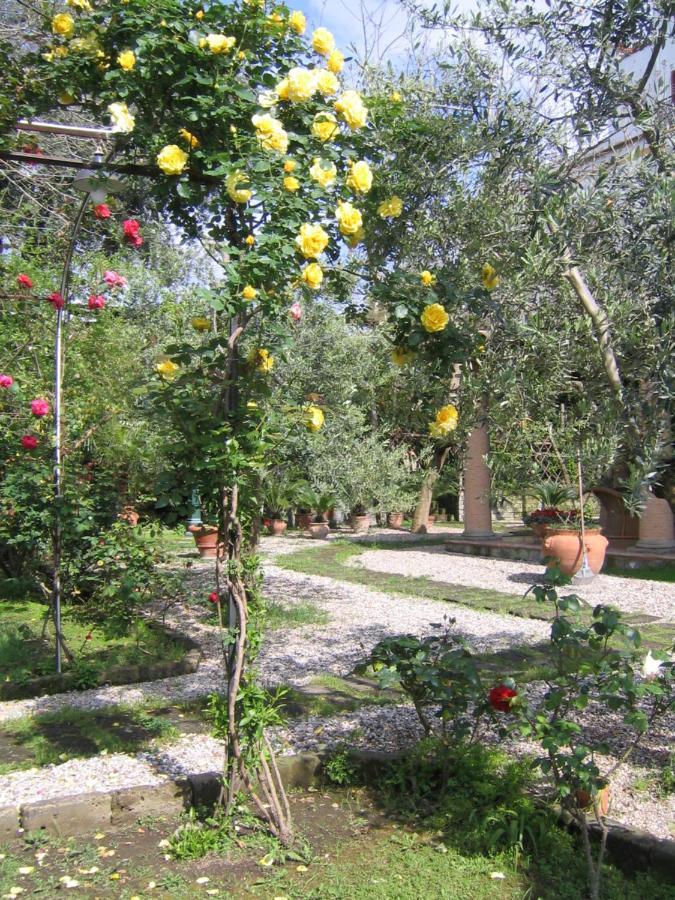 Chalet Lidia Sorrento Dış mekan fotoğraf