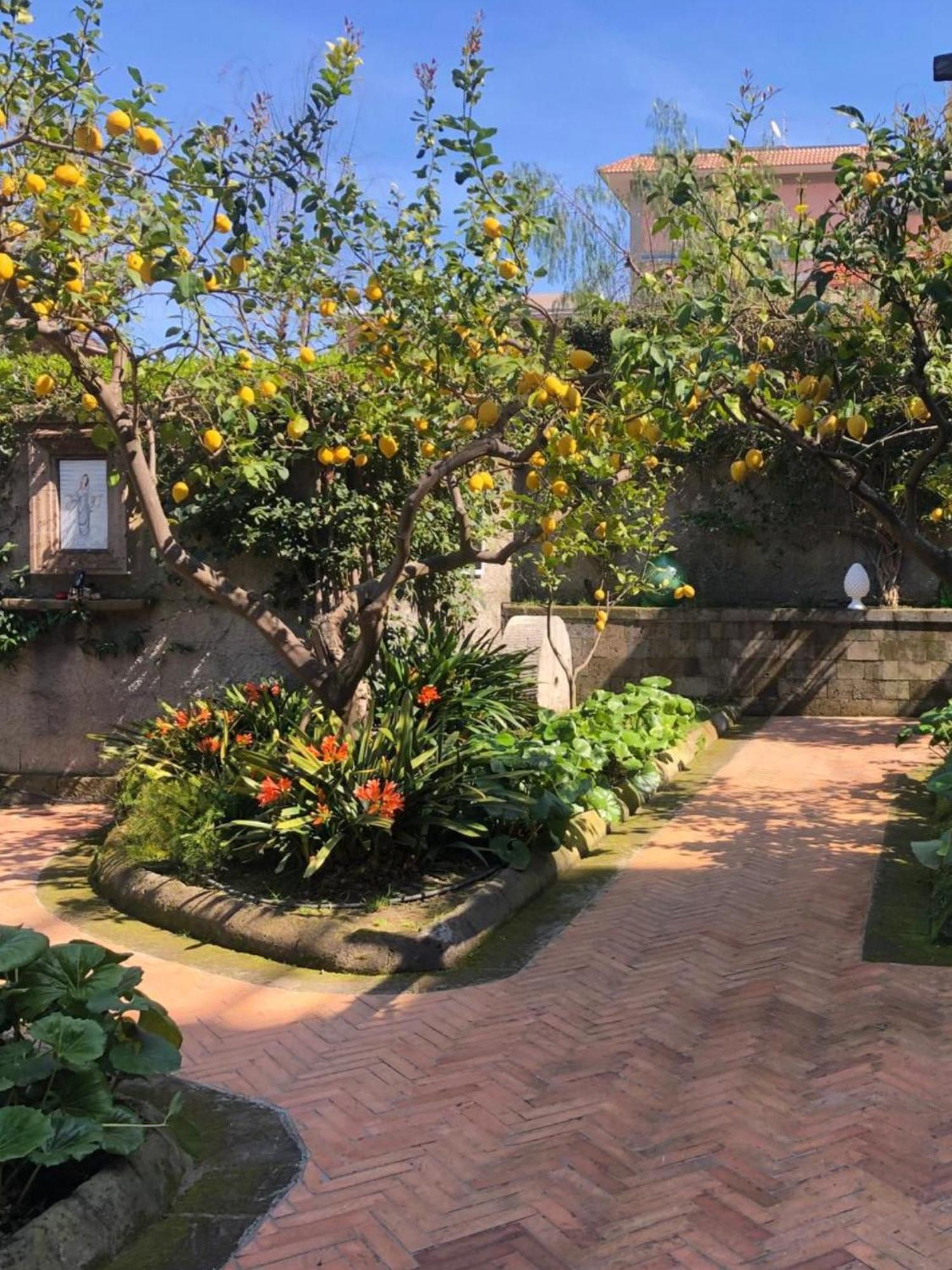 Chalet Lidia Sorrento Dış mekan fotoğraf