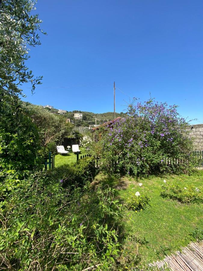 Chalet Lidia Sorrento Dış mekan fotoğraf
